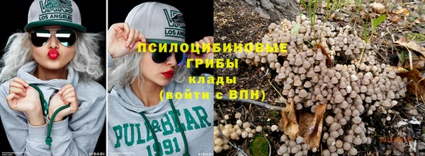 МДПВ Абдулино